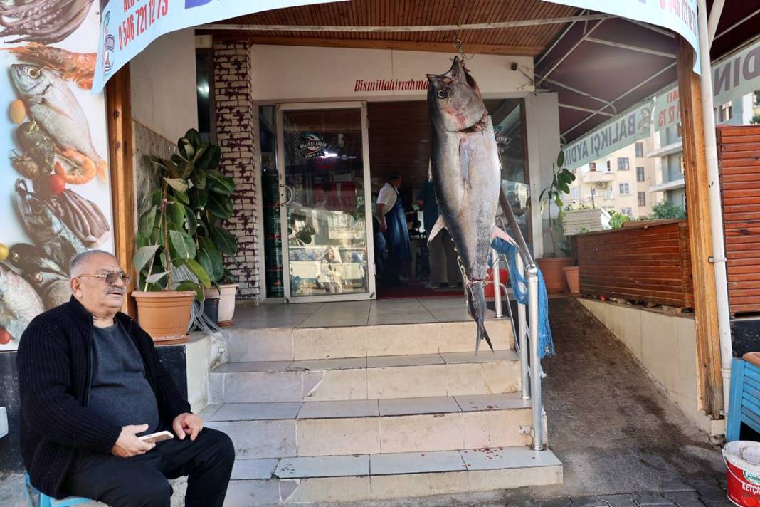 İnsan boyunda dev balık, görenlere küçük dilini yutturdu! O kentte sergileniyor 4